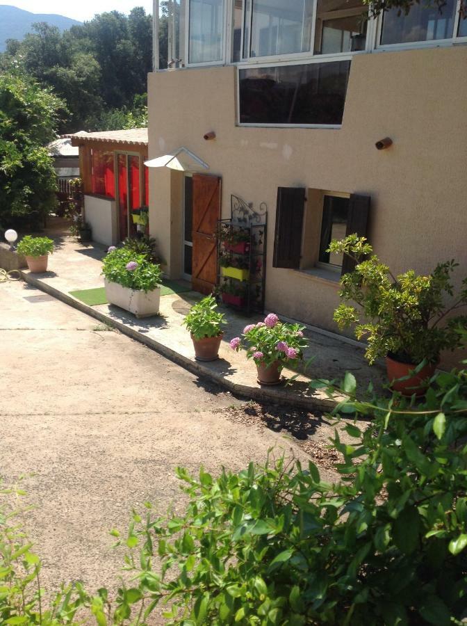 Charmant Appartement 2 Pieces Eccica-Suarella  Dış mekan fotoğraf