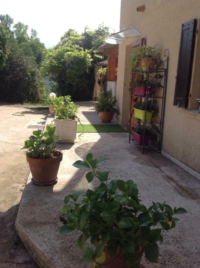 Charmant Appartement 2 Pieces Eccica-Suarella  Dış mekan fotoğraf